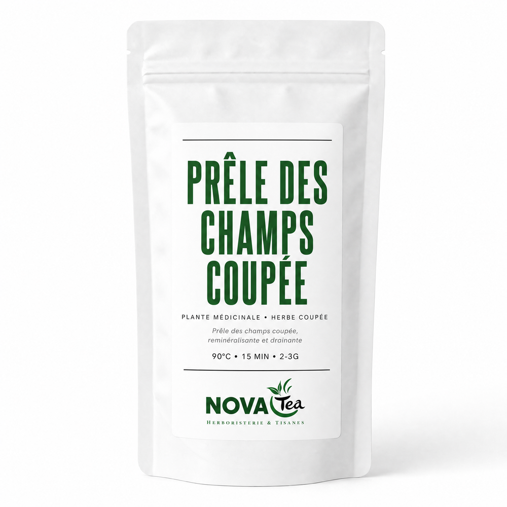 Prêle des Champs Coupée