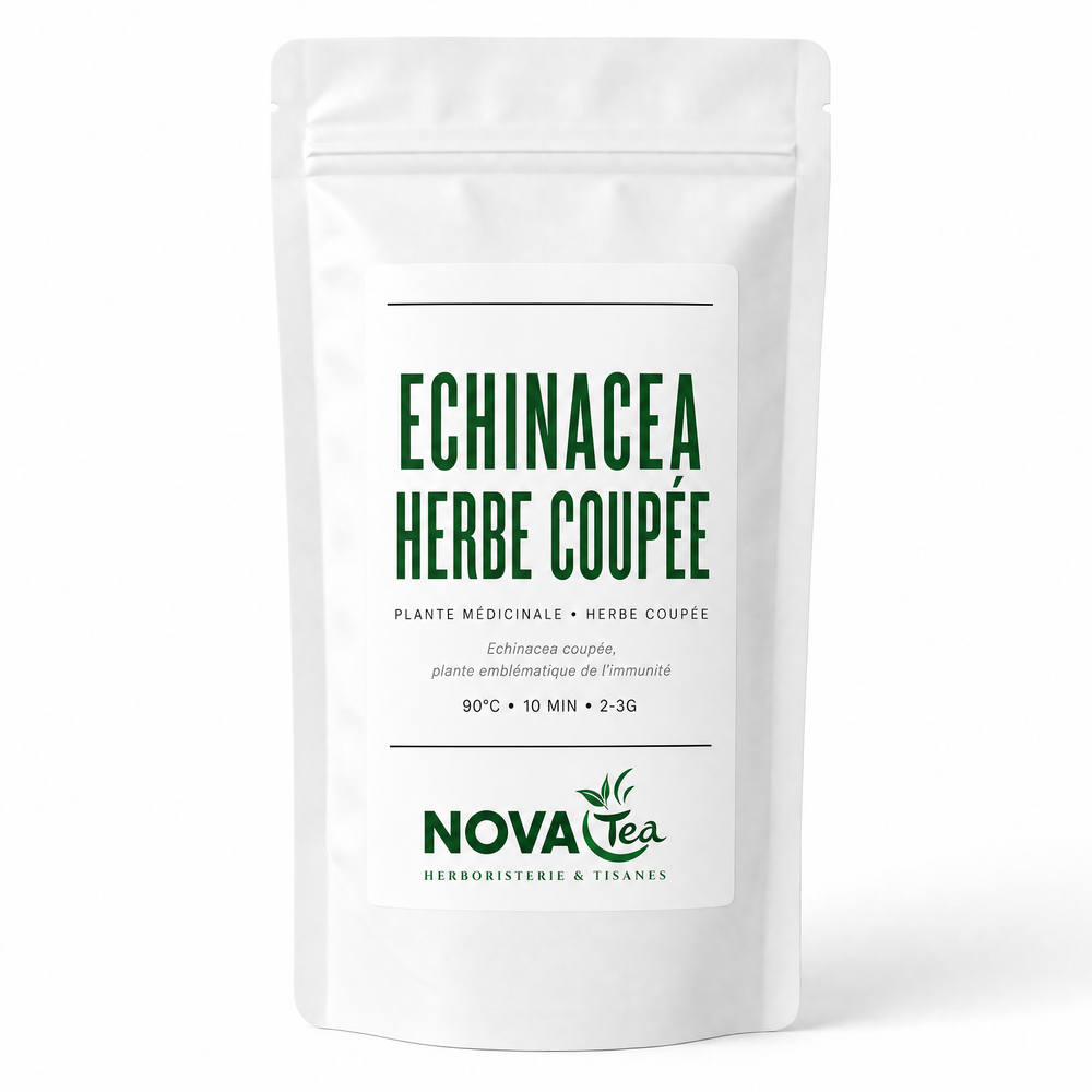 Echinacea Herbe Coupée