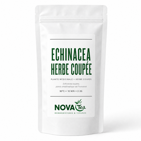 Echinacea Herbe Coupée