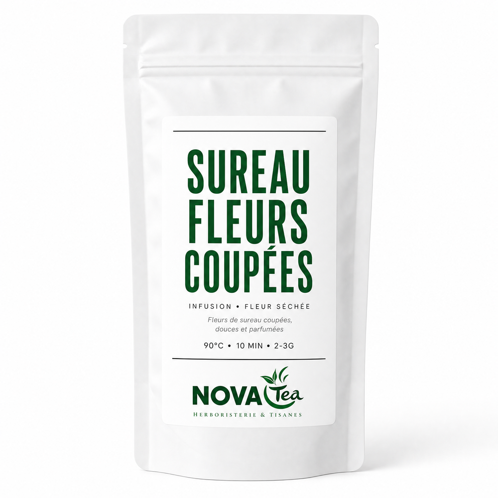 Sureau Fleurs Coupées