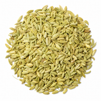Fenouil Graines Entières