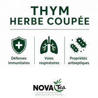 Thym Herbe Coupée
