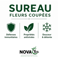 Sureau Fleurs Coupées