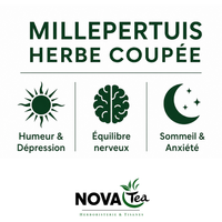 Millepertuis Herbe Coupée