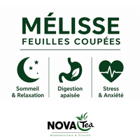 Mélisse Feuilles Coupées