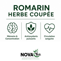 Romarin Herbe Coupée