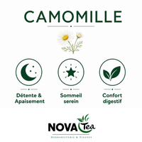 Camomille Fleurs Entières EXTRA