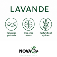 Lavande Fleurs