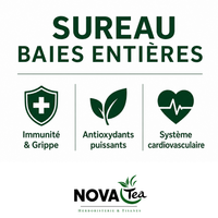 Sureau Baies Entières