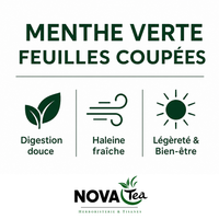 Menthe Verte Feuilles Coupées