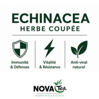 Echinacea Herbe Coupée