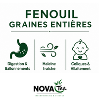 Fenouil Graines Entières