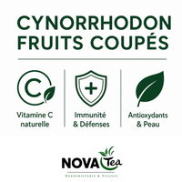 Cynorrhodon Fruits Coupés