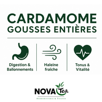 Cardamome Gousses Entières