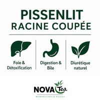 Pissenlit Racine Coupée