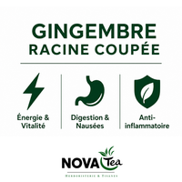 Gingembre Racine Coupée