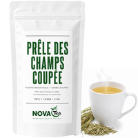 Prêle des Champs Coupée